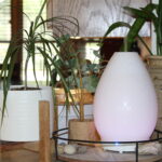 Lustre Diffuser on Counter with plants around and window in background