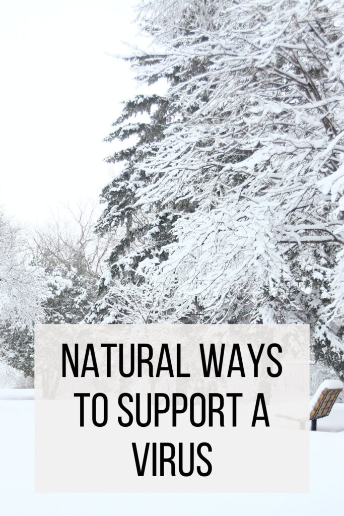 Natural Ways to support a virus with snow covered trees 