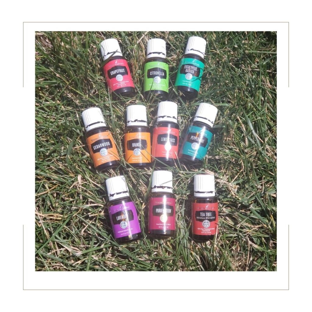 Essential Oils for DIY Bug Spray on grass