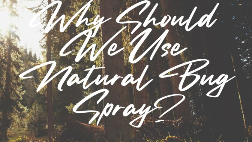Why Should We Use Natural Bug Spray text over wooded background.