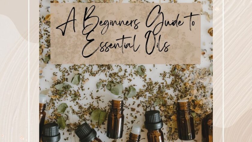 Essential oil bottles with plant parts: A Beginners Guide to Essential Oils