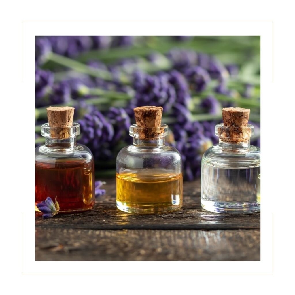 Three jars of Carrier Oils with Lavender in the background