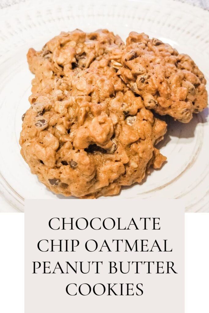 Chocolate Chip Oatmeal Peanut Butter Cookie on white plate