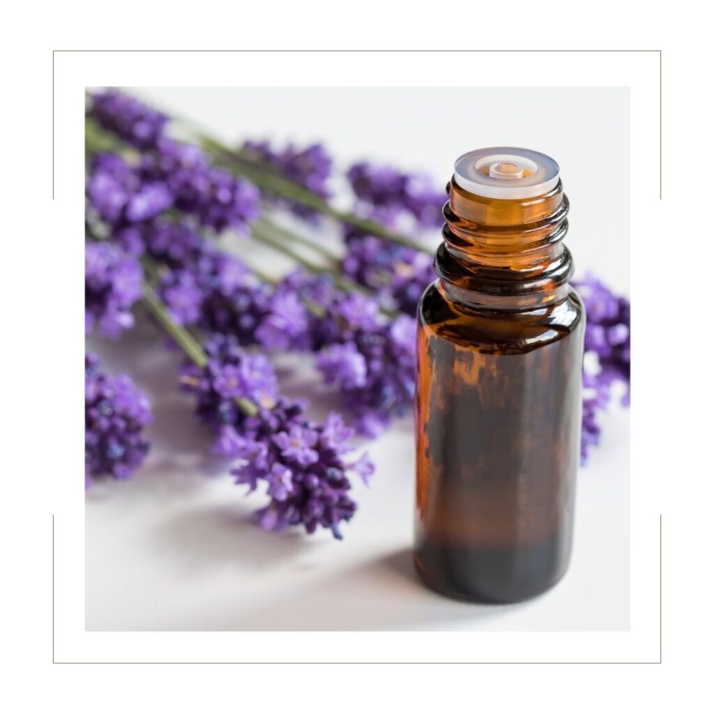 Empty essential oil bottle with lavender in the background