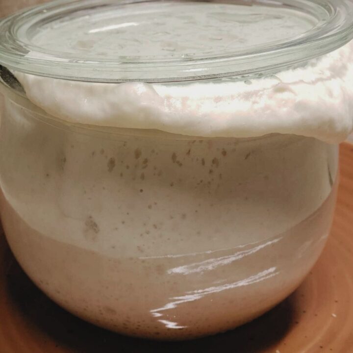 Sourdough Starter in a glass Weck Jar with lid with starter overflowing