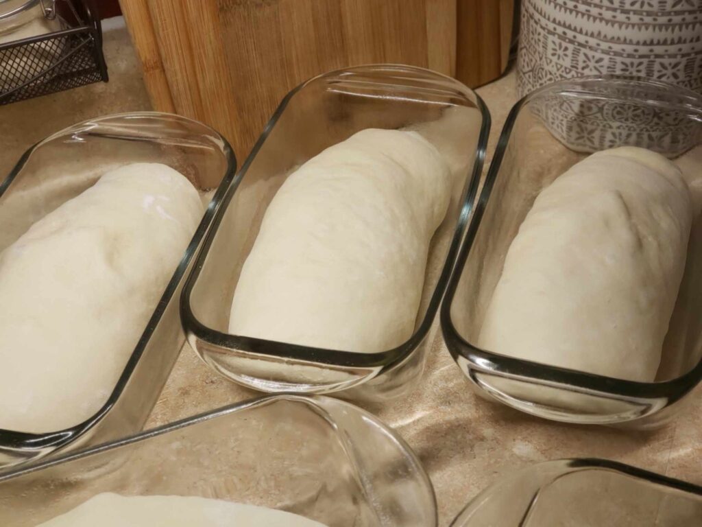 Loaves of Sandwich Bread Resting in Loaf Pans