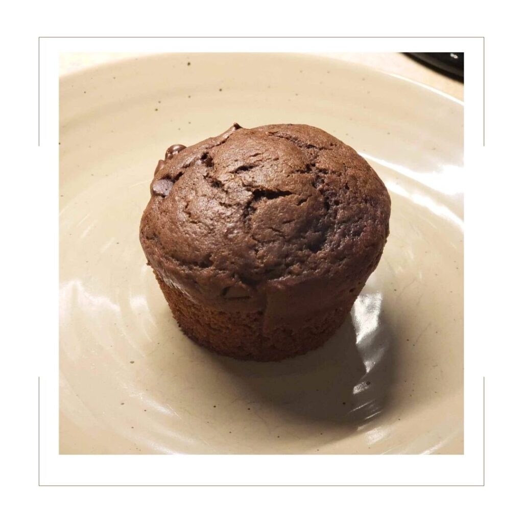 Chocolate Muffin on Plate