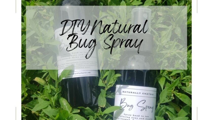 Main Image DIY Bug Spray on grass