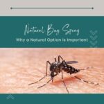 Natural Bug Spray - Why a natural option is important, mosquito on skin