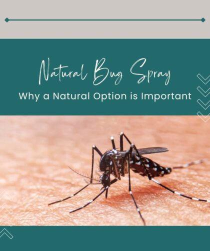 Natural Bug Spray - Why a natural option is important, mosquito on skin