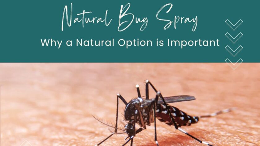 Natural Bug Spray - Why a natural option is important, mosquito on skin