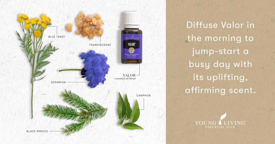 Valor Essential Oils with plants the make it up.