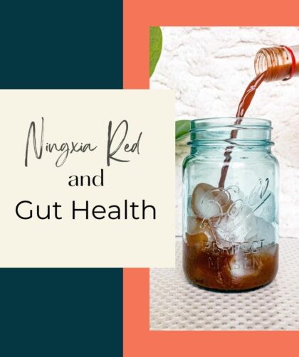 Ningxia Red and Gut Health Main Image with Ningxia poured over ice in a mason jar