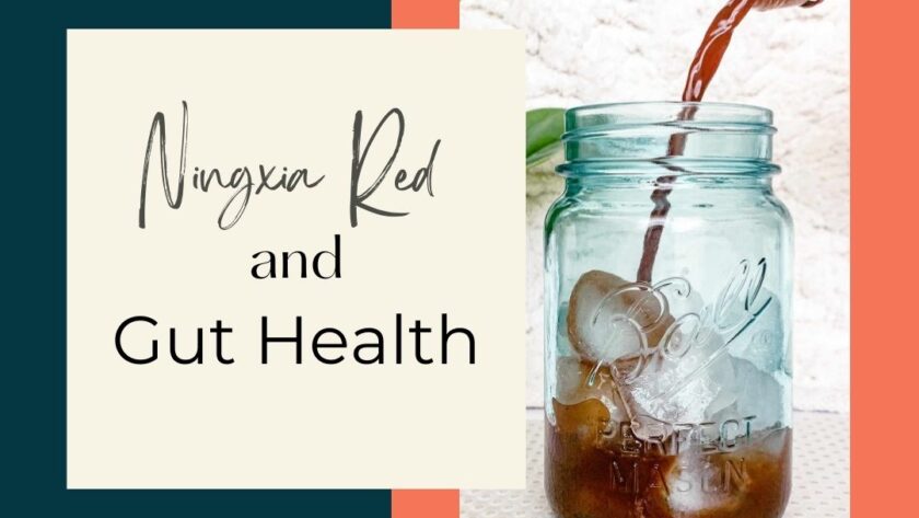 Ningxia Red and Gut Health Main Image with Ningxia poured over ice in a mason jar