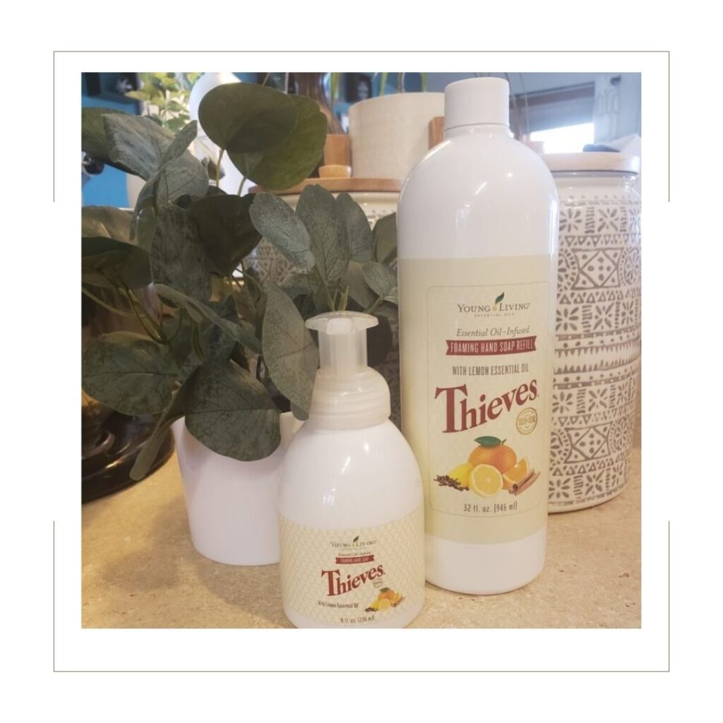 Thieves Foaming Hand Soap Refill and Single Bottle on counter in front of green plant and decorative jar.