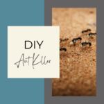 Main Image for Ant Killer