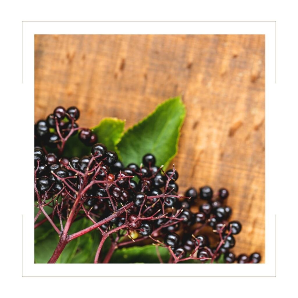 elderberries on a cutting board