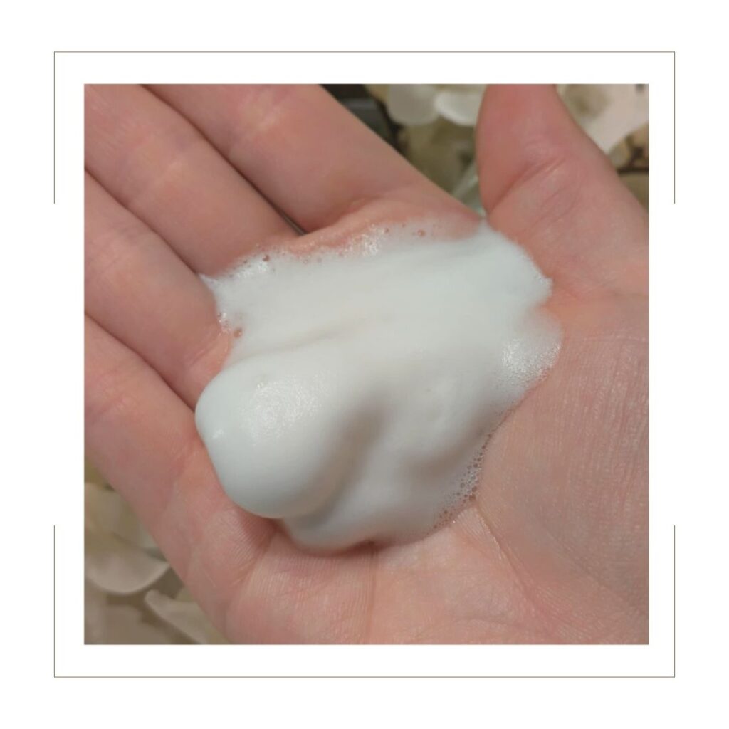 Foaming Hand Soap in palm of hand