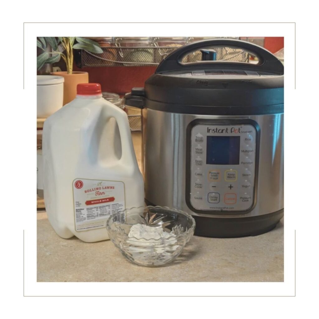 Homemade yogurt ingredients, milk, Instant Pot and yogurt