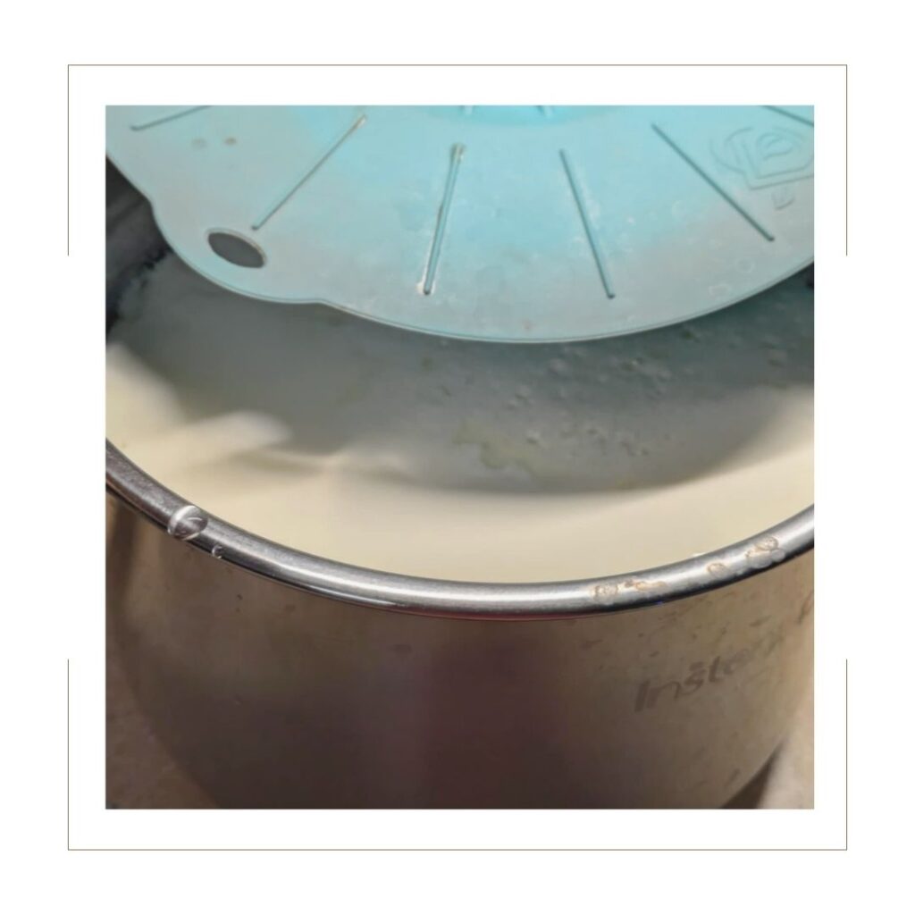 Yogurt covered with silicone lid in fridge