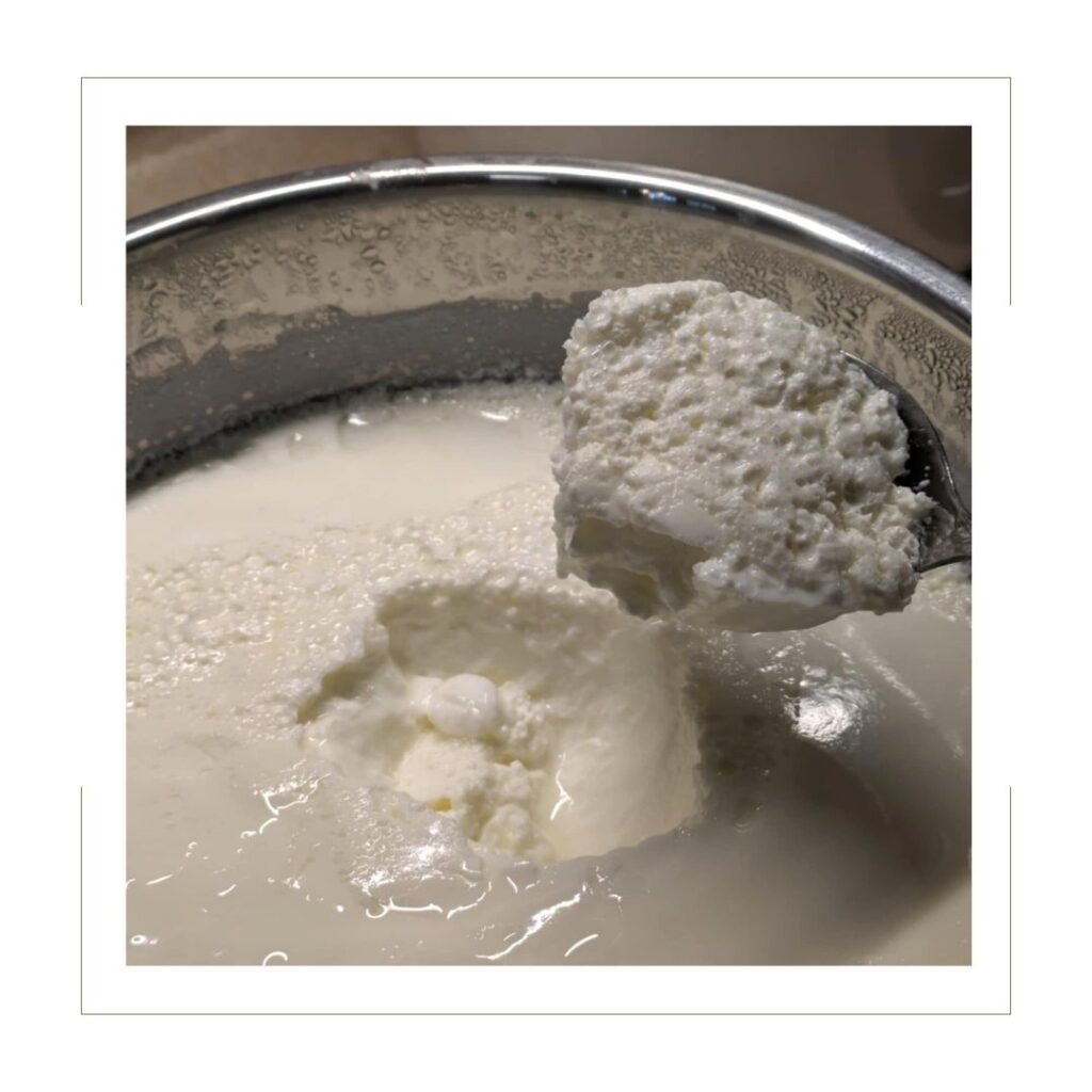 Homemade yogurt after sitting overnight in fridge