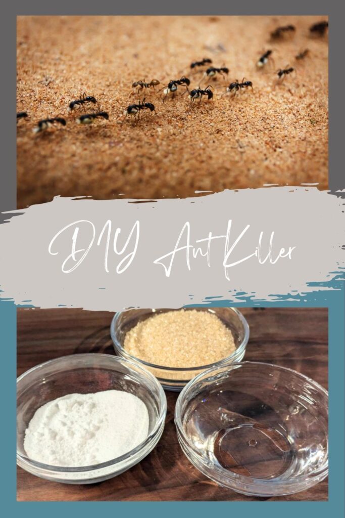 Ant Killer Pinterest Image
