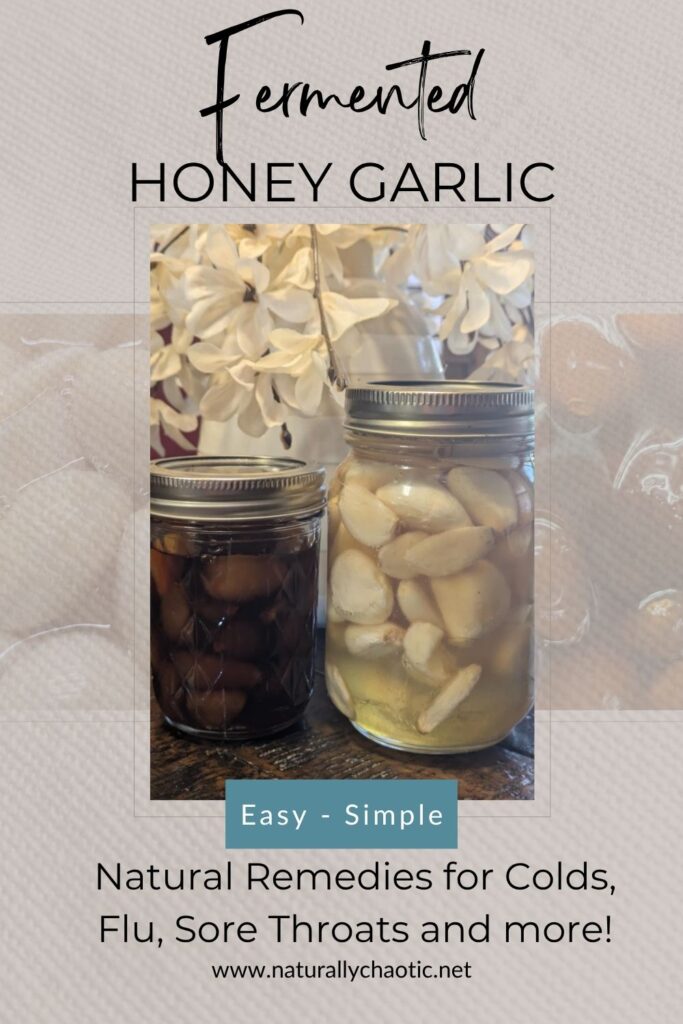 Pinterest Image for Fermented Honey Garlic with new and fermented honey garlic and them each in a mason jar.