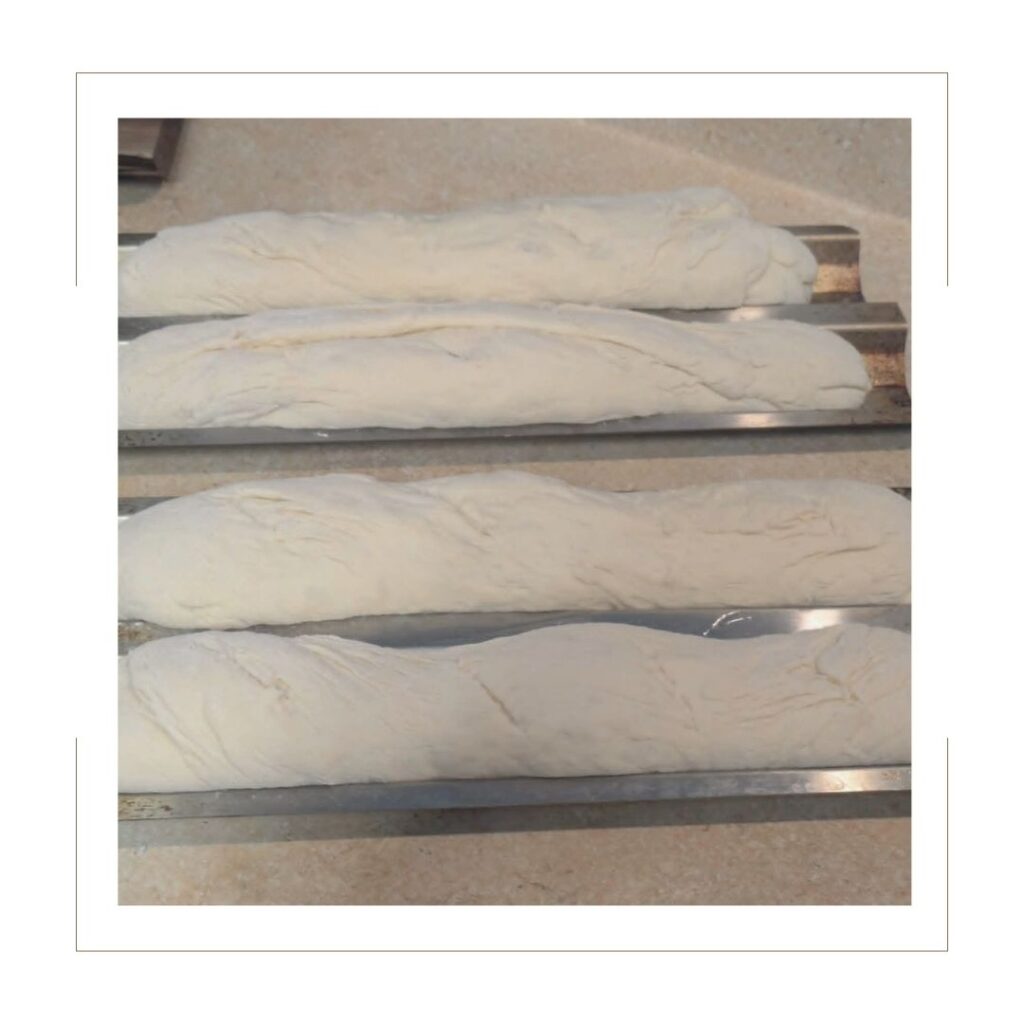 Baguette dough in pans
