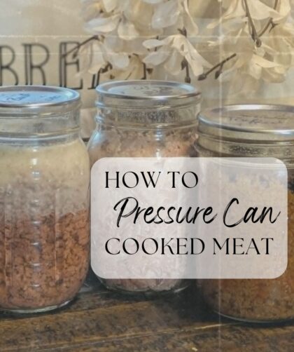 Main Image for How to Pressure Can Cooked Meat
