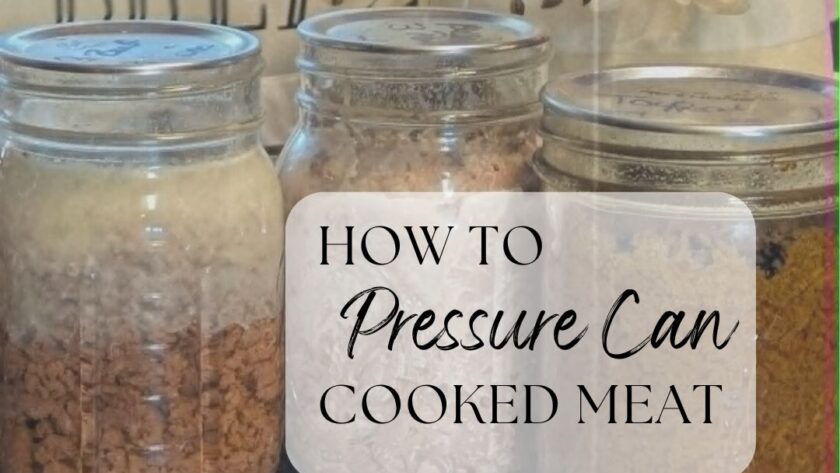 Main Image for How to Pressure Can Cooked Meat